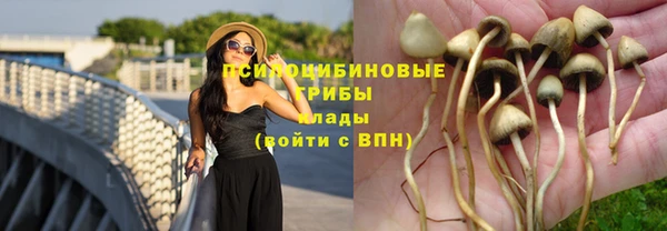 стаф Елабуга