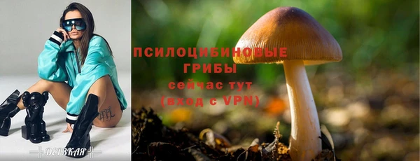 стаф Елабуга